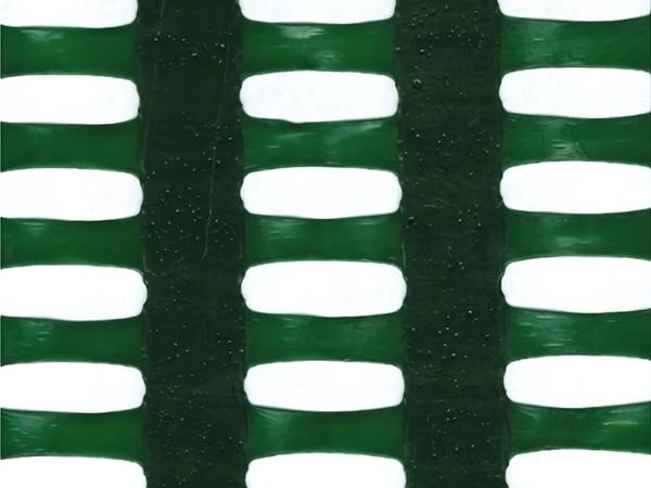 Green rectangular hole 15 mm × 5 mm openings extruded windbreak netting with 50% wind reduction.